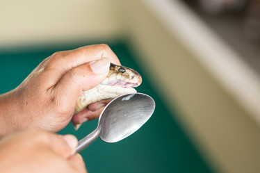 Similar image 12222346