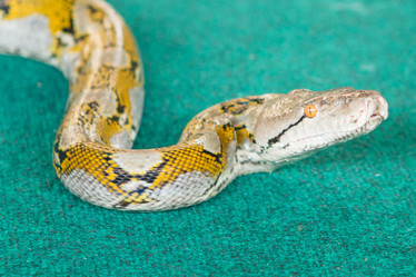 Similar image 12222353