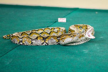 Similar image 12222357