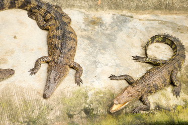 Similar image 12222366