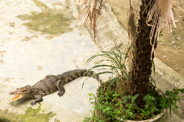 Similar image 12222369