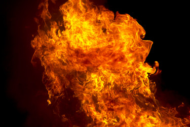 Similar image 12222521