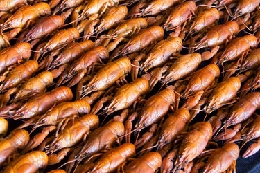 Similar image 12222524