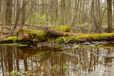 Similar image 12223370