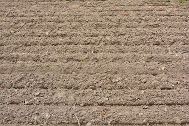 Similar image 12223372