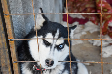 Similar image 12252931