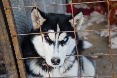 Similar image 12252950