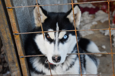 Similar image 12252951