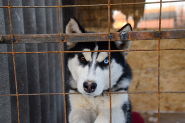 Similar image 12253953