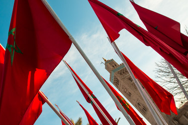 Similar image 12348751