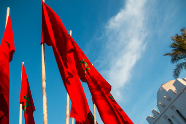 Similar image 12348754