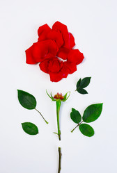 Similar image 12250361