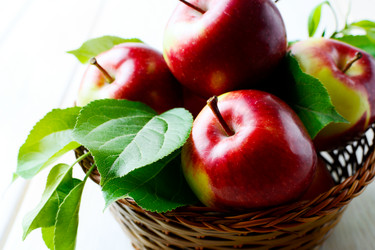 Similar image 12222278