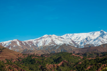 Similar image 12348608