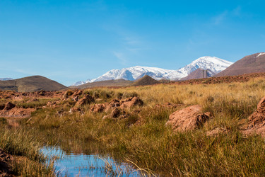 Similar image 12348609