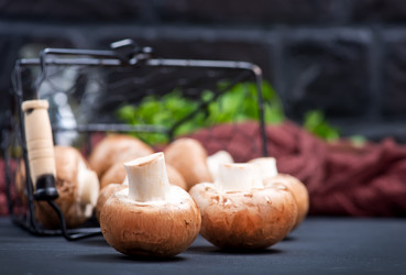 Similar image 12226804