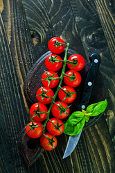 Similar image 12226759