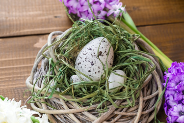 Similar image 12253096