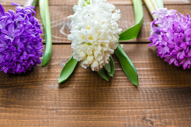 Similar image 12253112