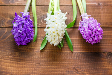 Similar image 12253113