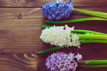 Similar image 12253203