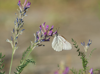 Similar image 12222414