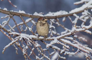 Similar image 12222415