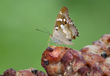 Similar image 12222416