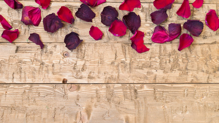 Similar image 12223585