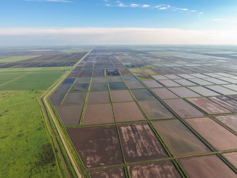 Similar image 12252814