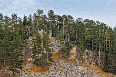 Similar image 12222418