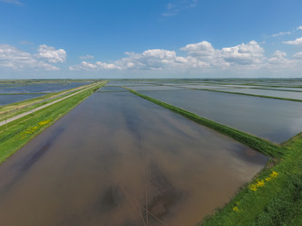 Similar image 12253940