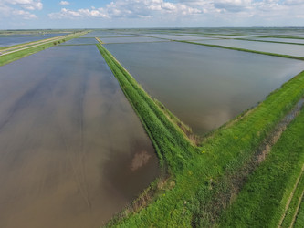 Similar image 12253941