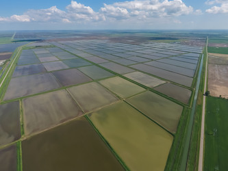 Similar image 12253956