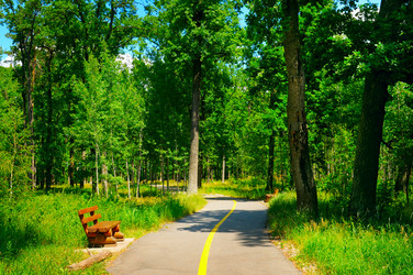 Similar image 12224850