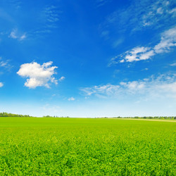 Similar image 12224851