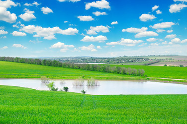 Similar image 12224853