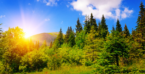 Similar image 12224875