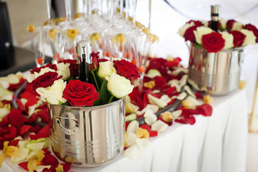 Similar image 12223351