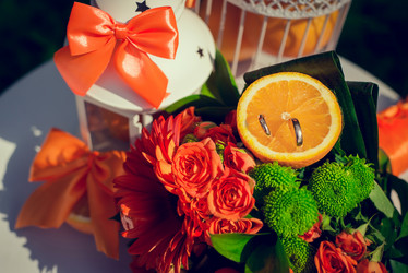 Similar image 12224929