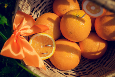 Similar image 12224931