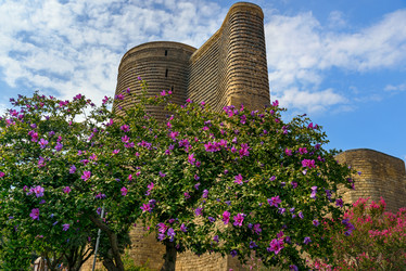 Similar image 12224868