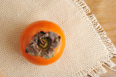 Similar image 12350039