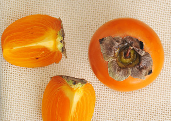 Similar image 12350042