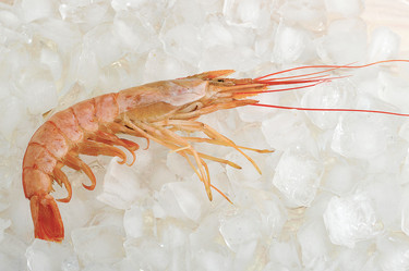 Similar image 12252123