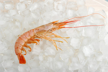 Similar image 12252138