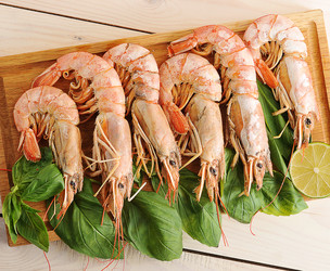 Similar image 12252142