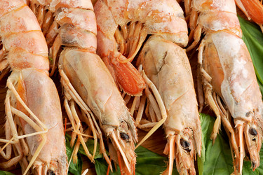 Similar image 12252195