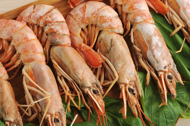 Similar image 12252199