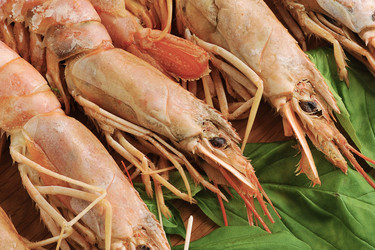 Similar image 12252203